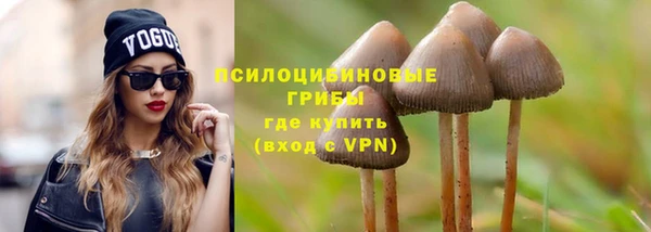 стаф Новозыбков