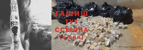 стаф Новозыбков