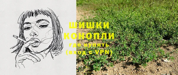 стаф Новозыбков