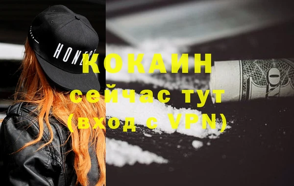 стаф Новозыбков