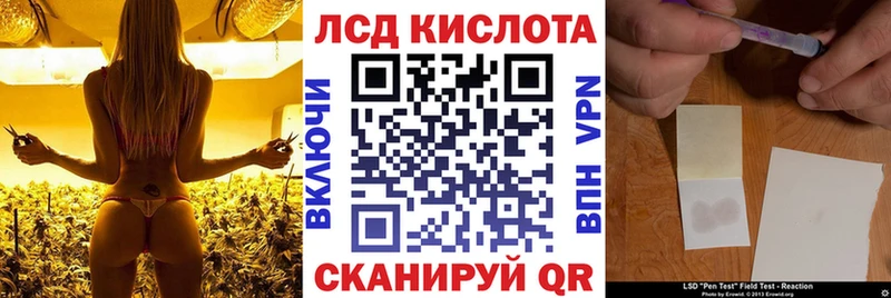 Наркотические марки 1,5мг  продажа наркотиков  Красноперекопск 