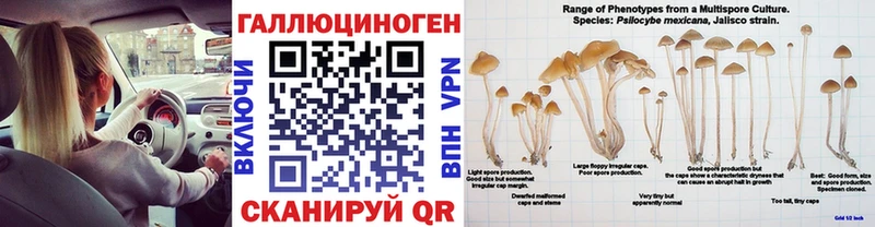 купить закладку  Красноперекопск  Галлюциногенные грибы Psilocybine cubensis 