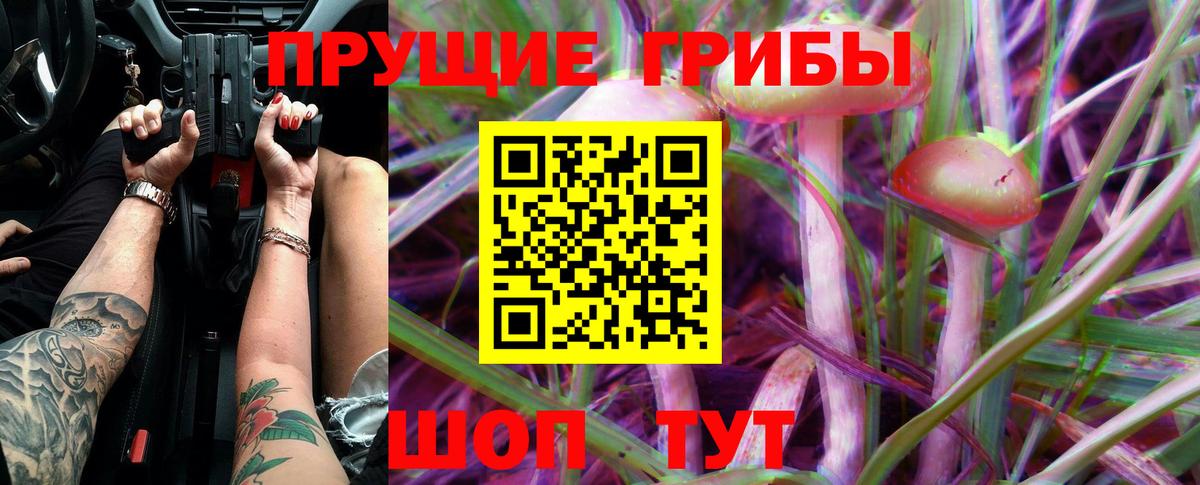 Красноперекопск  Галлюциногенные грибы Cubensis  Псилоцибиновые грибы прущие грибы  Вход с VPN 